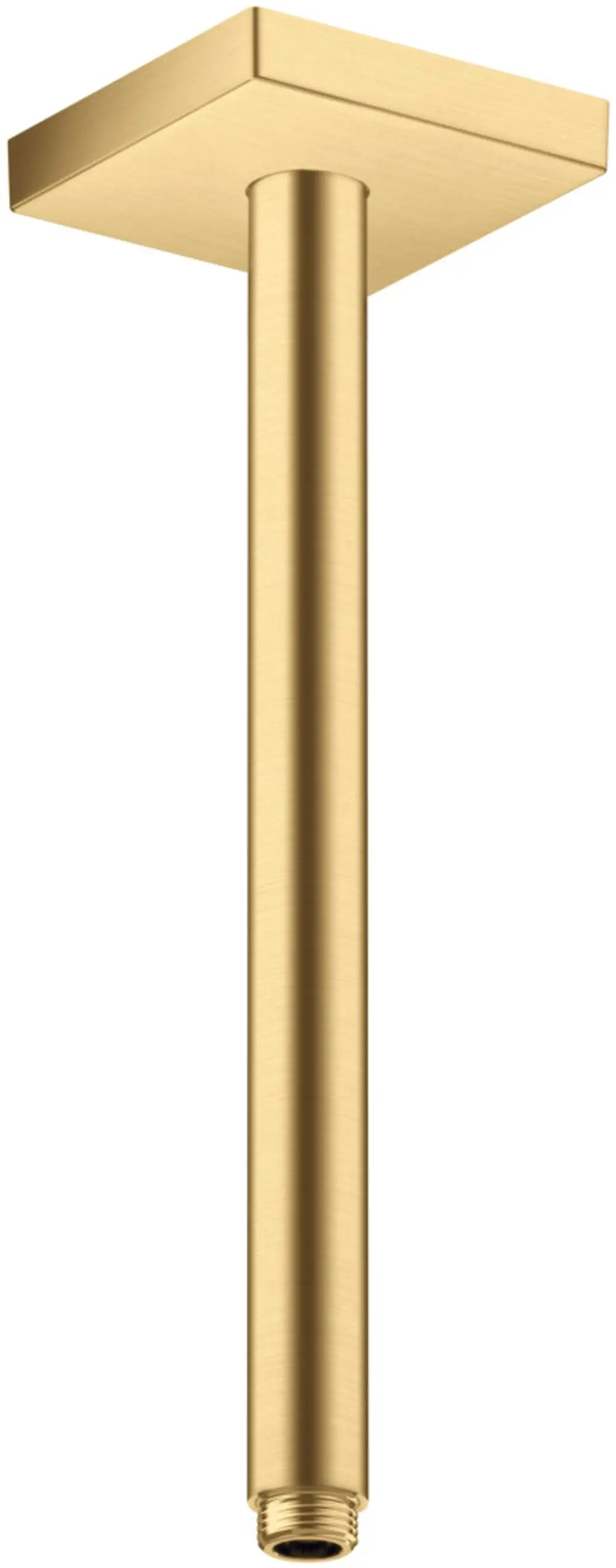Deckenanschluss von AXOR in rechteckiger Form mit einer gebürsteten Gold-Oberfläche, geeignet für die Montage in Duschen. Sichtbarer Anschluss mit einem Gewinde unten.